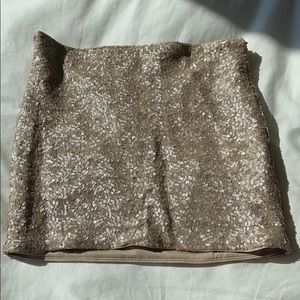 Zara sequin skirt